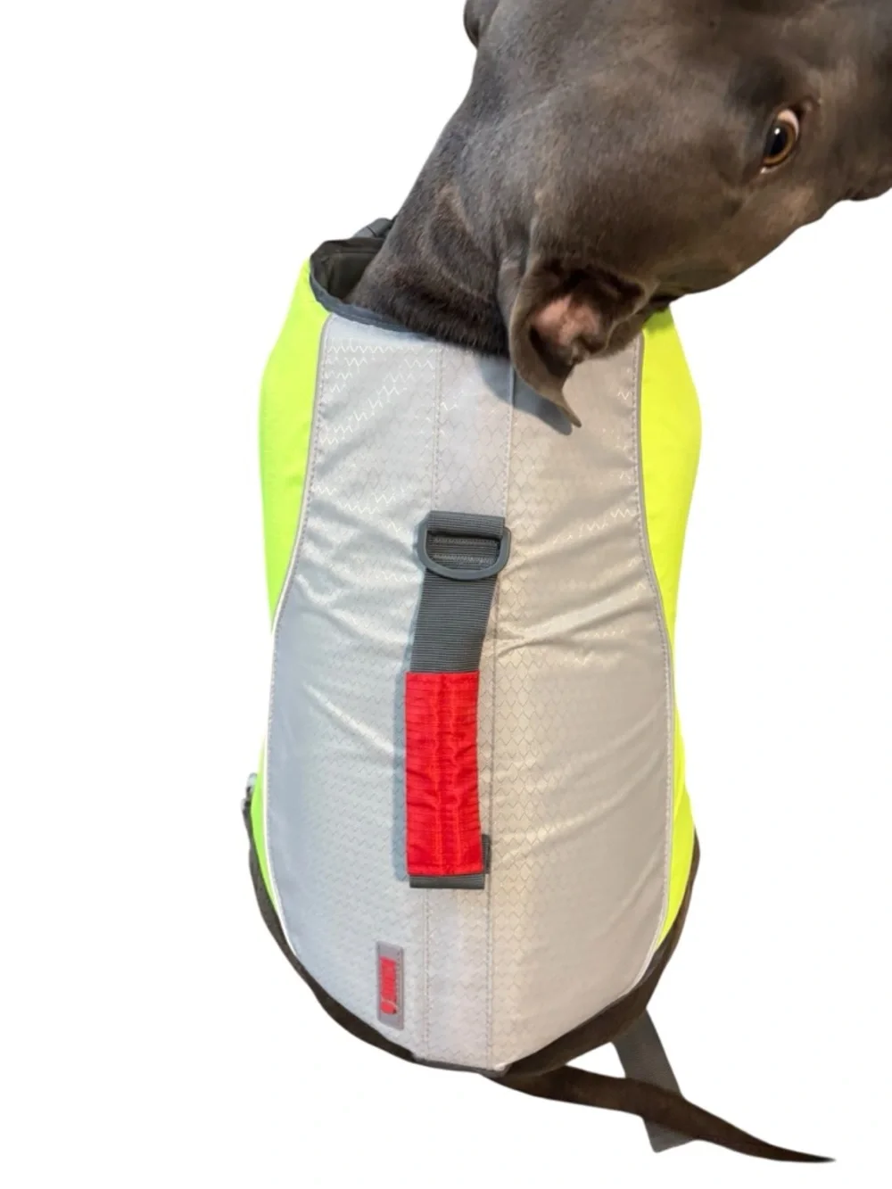 Kong Dog Life Jacket Vest XL 50-80 Pounds Yellow and Gray